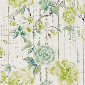 Флизелиновые обои Designers Guild PDG1158/03 коллекции Ikebana