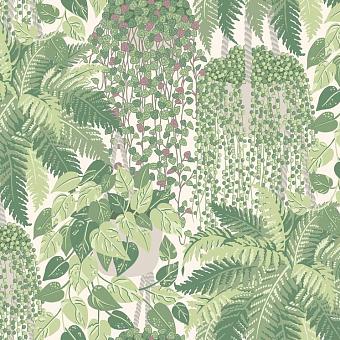 Флизелиновые обои Cole & Son 115/7021 коллекции Botanical Botanica